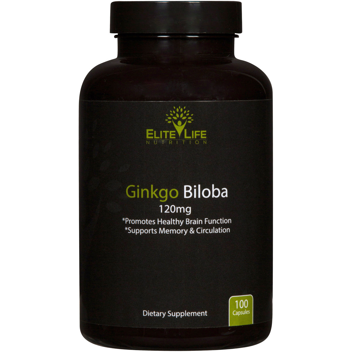 Pure Ginkgo Biloba 120mg - Breakthrough Brain Support Nutrient